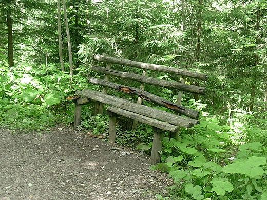 Gdzie na szlaku... Tatry